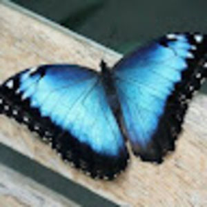 Meet your Posher, Wendy